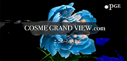 cosmegrandview